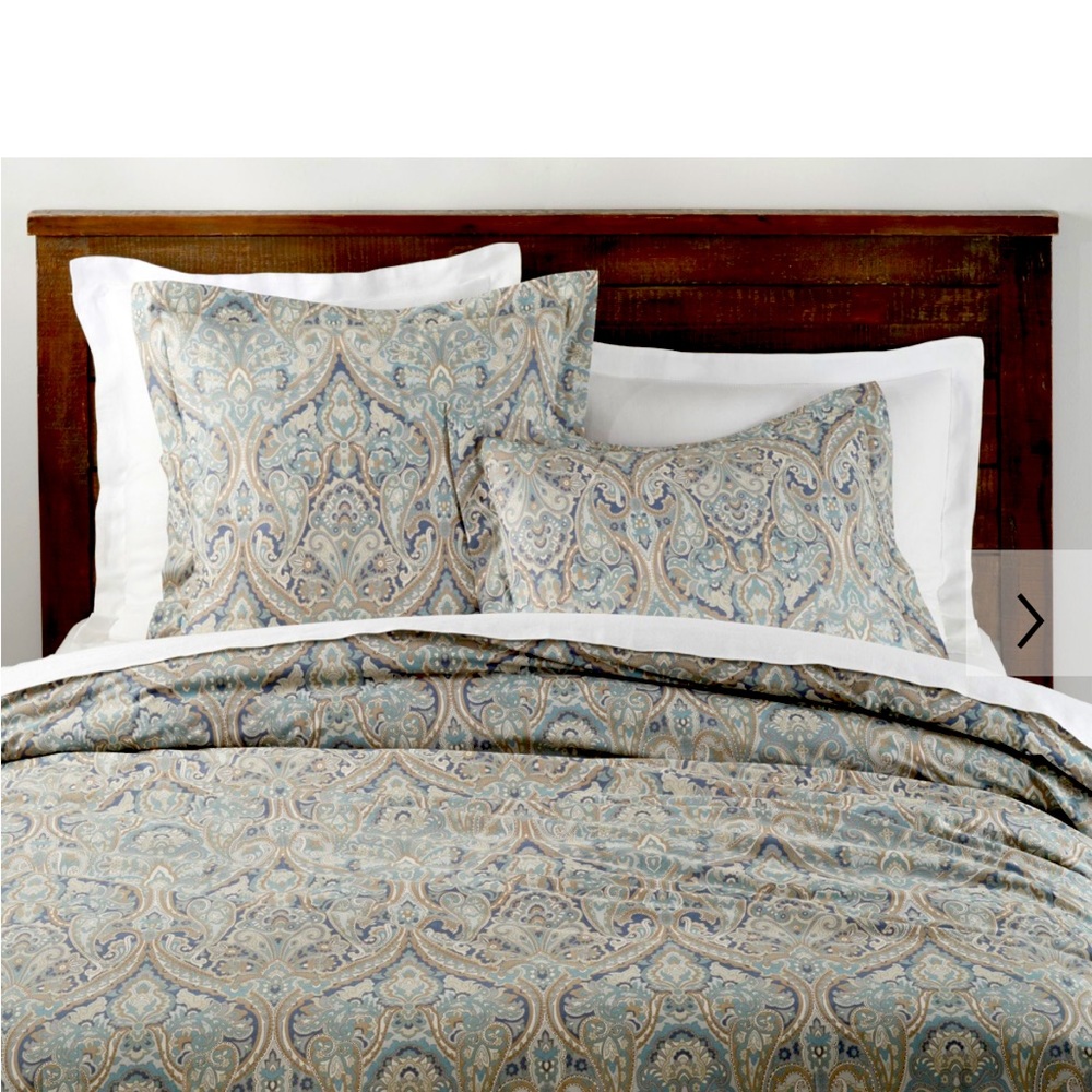 Pottery Barn- McKenna Paisley Queen cotton duvet and pillow shams